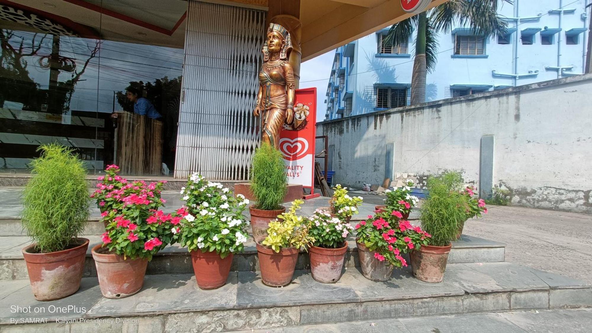 Hotel Trisplanet Kalyani Exterior foto